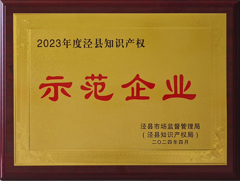 2023年度涇縣知識產權示范企業(yè)